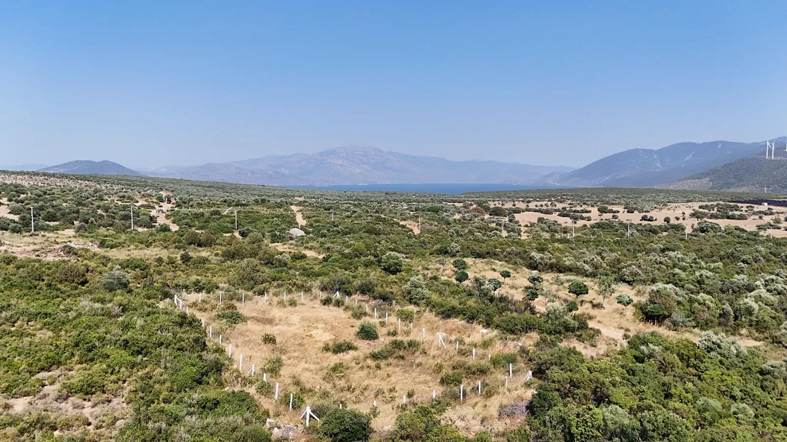 Didim Bozseki'de See Panorama 300 m² Baurechtlich gesichertes Grundstück | Ideal für Investition und Villa