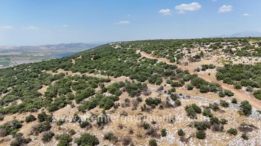 Land Zu verkaufen in Ak-yeniköy Bz. Didim Akyeniköy - Gehäuse-Zonierung - 300 m²