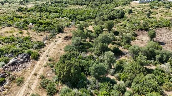 Didim Bozseki'de See Panorama 300 m² Baurechtlich gesichertes Grundstück | Ideal für Investition und Villa