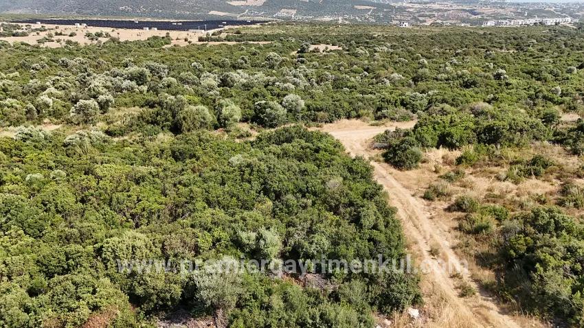 Didim Bozseki'de Lake View 300 m² Zoned Land | Ideal for Investment and Villa