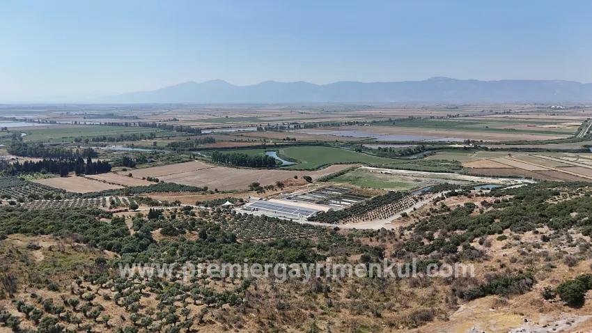 Didim Bozseki'de 300 m² Planned satılık land | Söke Ovası view | 925.000 Tl