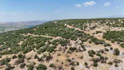 Land For sale in Ak-yeniköy Nbh. Didim Akyeniköy - Housing Zoned - 300 m²