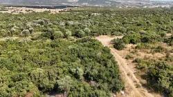 Didim Akyeniköy Ak-yeniköy Mah. Satılık Arsa - Konut İmar Durumlu - 300 m²