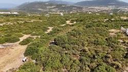 Didim Akyeniköy Ak-yeniköy Mah. Satılık Arsa - Konut İmar Durumlu - 300 m²